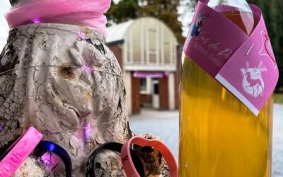 Octobre Rose à Anchin  !