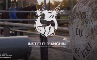 Option Hippologie à l’Institut d’Anchin !
